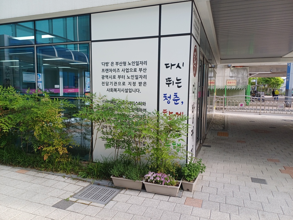꽃나무 사진