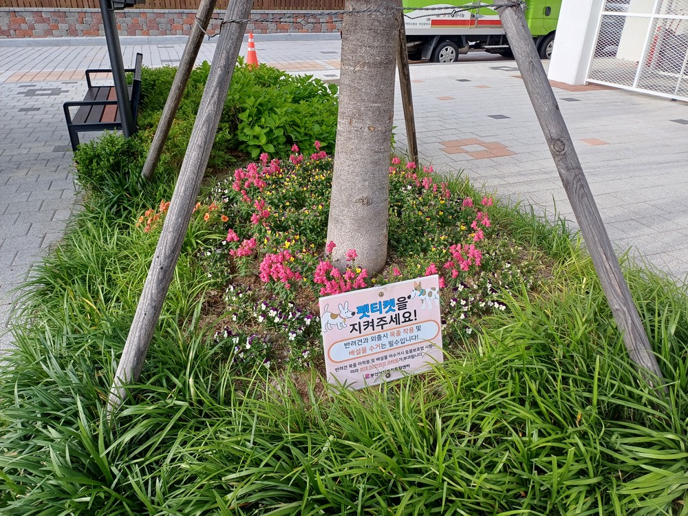 꽃나무 사진